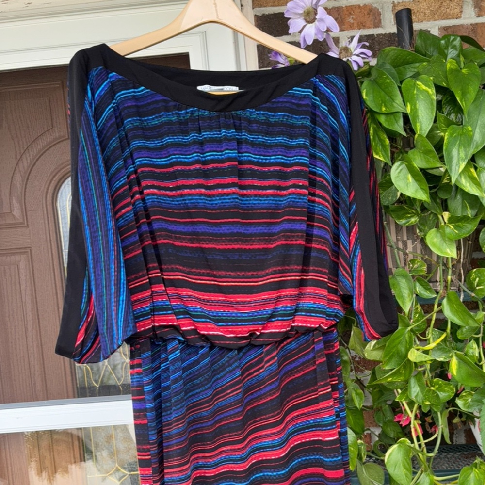 Maggy London Blue and Red Striped Dress